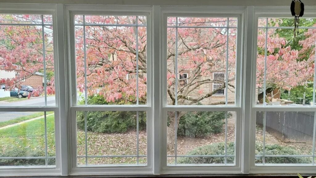 new windows on Toledo home